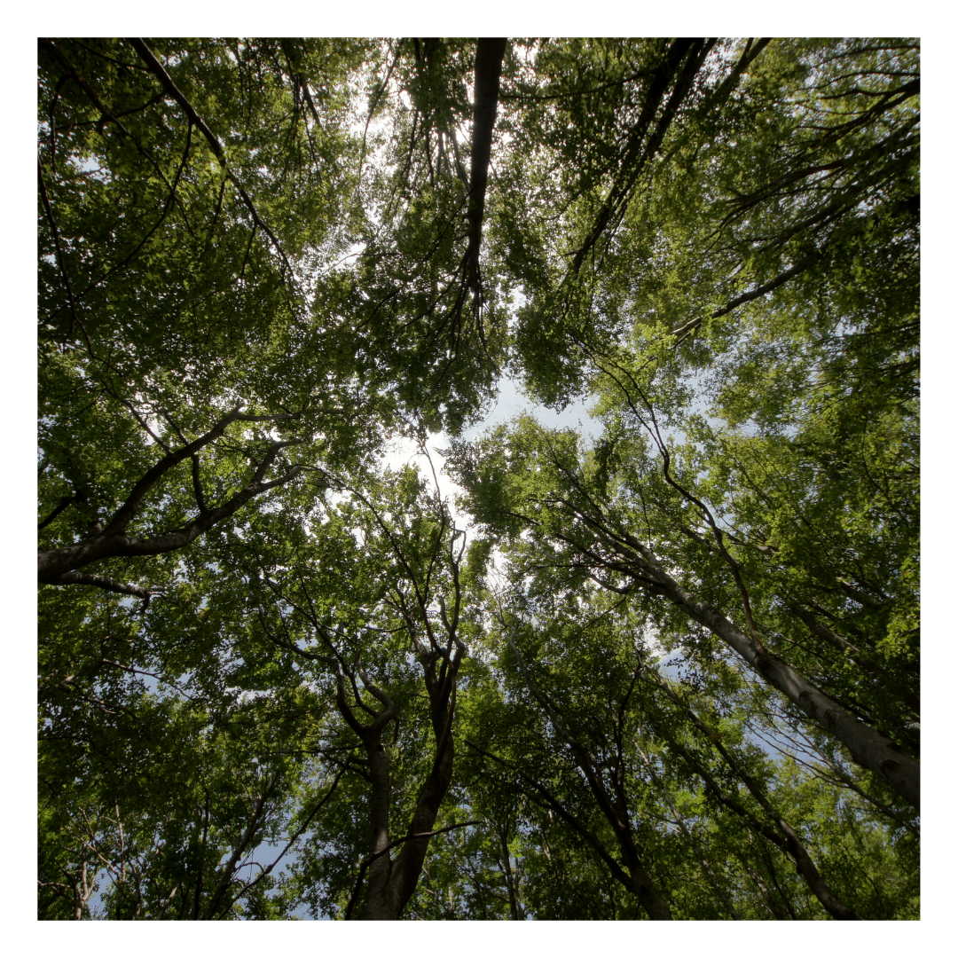 It's all about perspective image 5 Tips